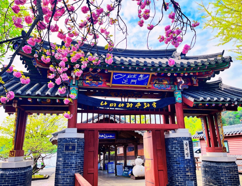 1739251731863844-南怡島春天 (2).jpg